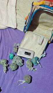 Policiais de 4 cidades fazem opera&ccedil;&atilde;o contra tr&aacute;fico de maconha e crack 