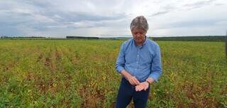 PIB de Mato Grosso do Sul deve crescer 5,5% em 2025, puxado pela agropecu&aacute;ria