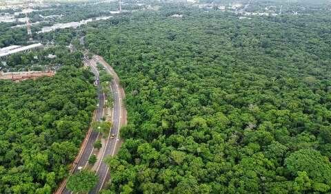 MP quer regulamenta&ccedil;&atilde;o da zona de amortecimento do Parque do Prosa em 30 dias