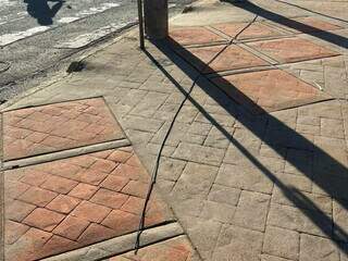 Galhos tomam conta da cal&ccedil;ada h&aacute; mais de 90 dias em avenida no Centro
