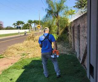 Mosquito e inseguran&ccedil;a: moradora limpa matagal da cal&ccedil;ada de terreno vizinho
