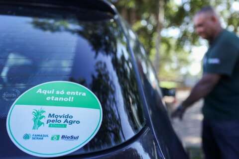 Campanha de etanol evitou emiss&atilde;o de 90 toneladas de carbono em MS