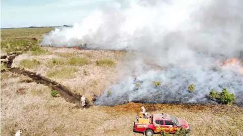 MP investiga fogo que consumiu 2.391 hectares de &aacute;reas protegidas no Pantanal