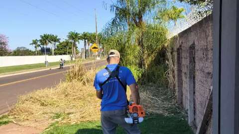 Mosquito e inseguran&ccedil;a: moradora limpa matagal da cal&ccedil;ada de terreno vizinho