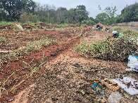 Invasão de terreno escancara abandono de áreas urbanas em Campo Grande
