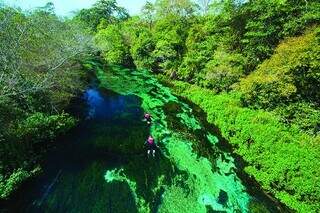 Bonito bate recorde de visitantes em maio, o maior em 15 anos Bonito bate recorde de visitantes em maio, o maior em 15 anos