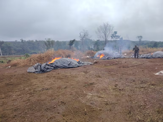 Opera&ccedil;&atilde;o destr&oacute;i 27 acampamentos e apreende 15 toneladas de drogas