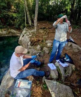 UFRJ inicia estudo ambiental na bacia do Rio Formoso em Bonito UFRJ inicia estudo ambiental na bacia do Rio Formoso em Bonito
