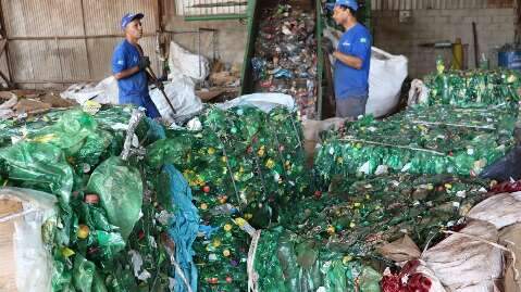 MS lidera ranking de log&iacute;stica reversa: 13 kg de material reciclado por pessoa