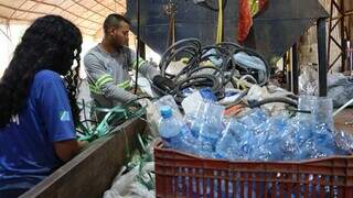 MS lidera ranking de log&iacute;stica reversa: 13 kg de material reciclado por pessoa
