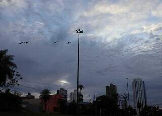 Domingo quente antecede frente fria que trar&aacute; m&iacute;nima de 0&deg;C e geada em MS