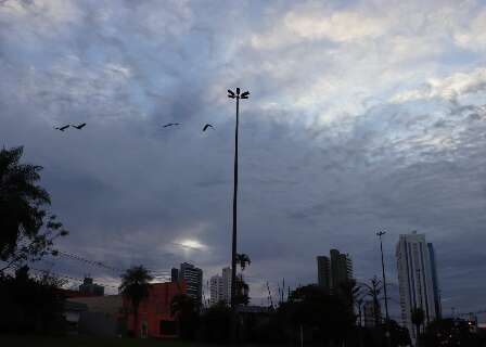 Domingo quente antecede frente fria que trar&aacute; m&iacute;nima de 0&deg;C e geada em MS