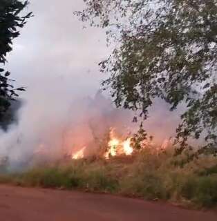 Inc&ecirc;ndio em terreno baldio assusta e deixa Jardim Maksoud debaixo de fuma&ccedil;a