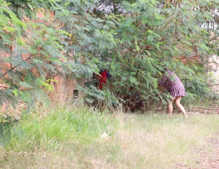 Campo Grande News
