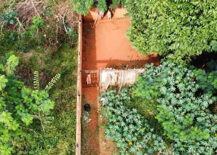 Moradoras denunciam abandono de c&atilde;es em casa fechada no bairro Tijuca