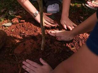 Projeto celebra Dia do Orgulho LGBTQIA+ com plantio de 100 &aacute;rvores em Jaraguari