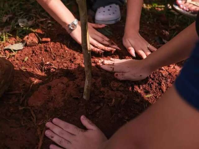 Projeto celebra Dia do Orgulho LGBTQIA+ com plantio de 100 &aacute;rvores em Jaraguari