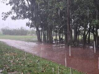 Capital tem chuva e rajadas de ventos acima dos 40 km por hora