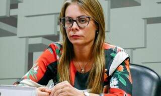 Deputado ou vereador? Alems vira central de pedidos de bairros