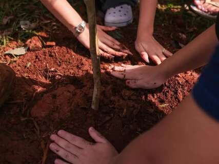 Projeto celebra Dia do Orgulho LGBTQIA+ com plantio de 100 &aacute;rvores em Jaraguari