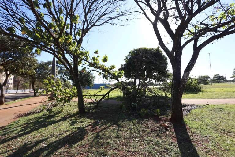Campo Grande News