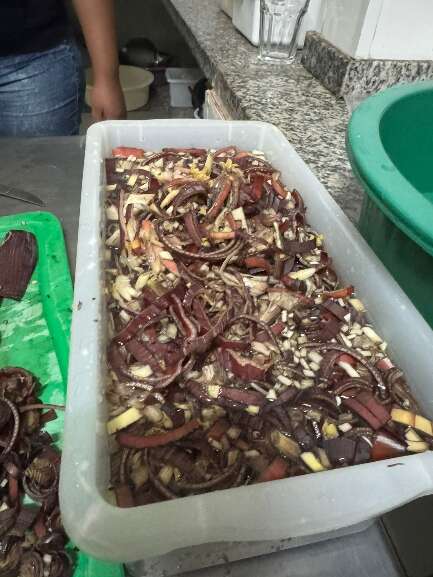 Campo Grande News