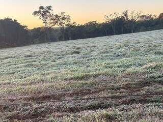 Sensa&ccedil;&atilde;o t&eacute;rmica de -3,8&deg;C congela &aacute;gua e cobre carros com gelo em Dourados