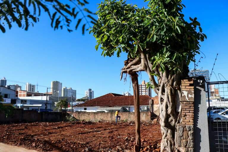 Campo Grande News