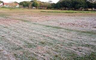 Geada atinge 13 municípios de Mato Grosso do Sul nesta quarta Geada atinge 13 municípios de Mato Grosso do Sul nesta quarta