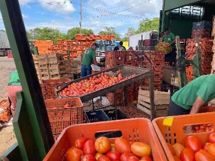 Quiabo e tomate t&ecirc;m queda nos pre&ccedil;os na &uacute;ltima semana de junho