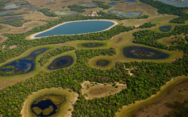 Minist&eacute;rio abre sele&ccedil;&atilde;o para projetos sustent&aacute;veis no Pantanal e outros biomas