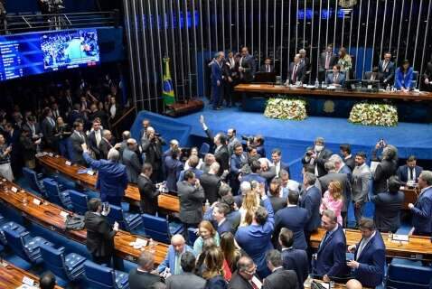 Celulose pressiona cidades e for&ccedil;a Senado a buscar solu&ccedil;&otilde;es para crescimento