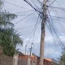Moradores enfrentam perigo di&aacute;rio com fia&ccedil;&atilde;o solta em rua 