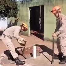 Filhotes de cachorro s&atilde;o jogados em fossa e resgatados pelos bombeiros