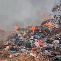 Homem &eacute; preso ap&oacute;s provocar inc&ecirc;ndio ao tentar queimar lixo no quintal de casa