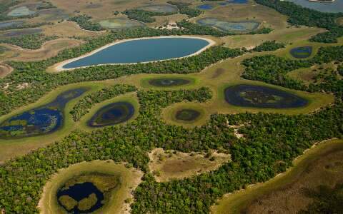 Minist&eacute;rio abre sele&ccedil;&atilde;o para projetos sustent&aacute;veis no Pantanal e outros biomas