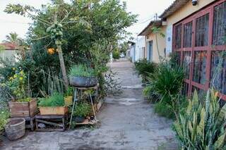 Agenor fez horta acess&iacute;vel na porta de casa e toda vizinhan&ccedil;a respeita