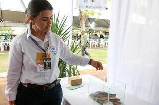 Pesquisa na UEMS transforma insetos em fonte de &quot;prote&iacute;na do futuro&quot;