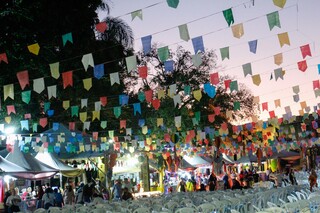 Arrai&aacute; da Alems re&uacute;ne fam&iacute;lias com shows, comidas t&iacute;picas e solidariedade