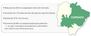MS quase triplica &aacute;rea de soja em meio &agrave; crise h&iacute;drica