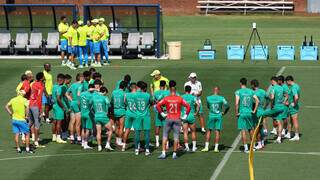 Palmeiras e Botafogo abrem hoje oitavas de final do Mundial de Clubes