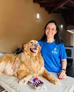 Pouco falada, doa&ccedil;&atilde;o de sangue entre pets &eacute; segura e pode ajudar outras vidas