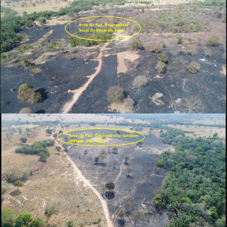 Minist&eacute;rio P&uacute;blico apura queimada sem autoriza&ccedil;&atilde;o que devastou 78 hectares