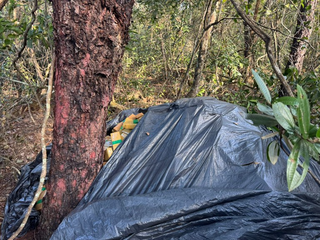 Opera&ccedil;&atilde;o fecha acampamento ilegal com 8 toneladas de maconha