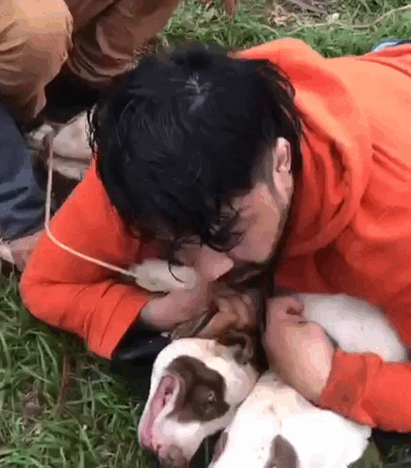 Lutador imobiliza dois pit bulls para escapar de ataque na rua 