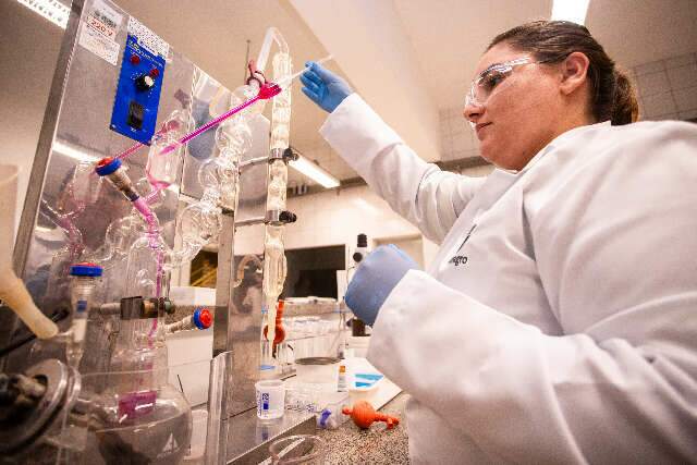 Investimento em ciência no agro de MS triplica e mira carne bovina sustentável
