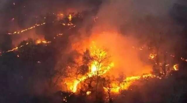 Fundo da Amaz&ocirc;nia vai bancar pela 1&ordf; vez combate ao fogo no Cerrado e Pantanal