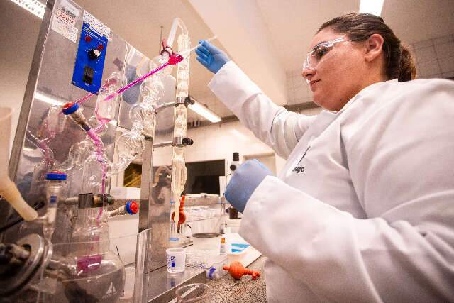 Investimento em ci&ecirc;ncia no agro de MS triplica e mira carne bovina sustent&aacute;vel