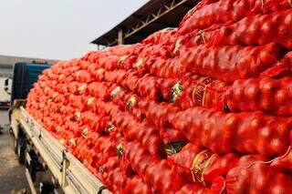 Frio derruba pre&ccedil;o da cebola e da ma&ccedil;&atilde;, mas eleva valor do tomate e da banana