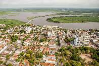 Corumbá abre licitação de R$ 1,9 milhão para manutenção de árvores da cidade